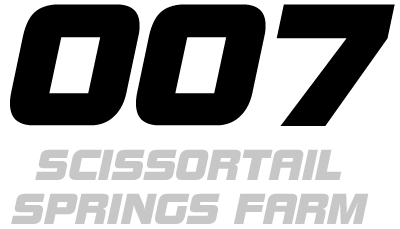 Scissortail Springs Farm